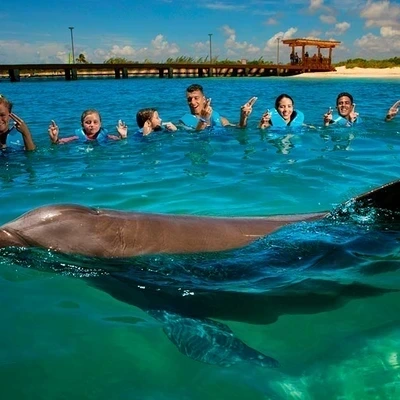 Delphinus Primax: Dolphin Interaction at Playa Mujeres with Transportation