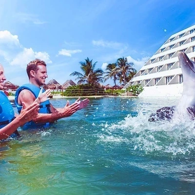 Delphinus Primax: Dolphin Interaction at Punta Cancún