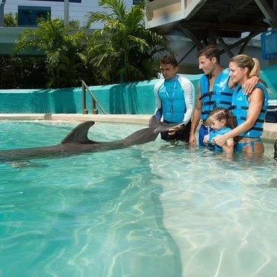 Delphinus Premium: Dolphin Interaction in Aquarium