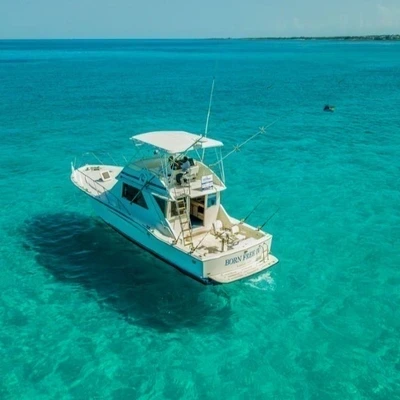 Deep Sea Fishing - Half Day 10 pax