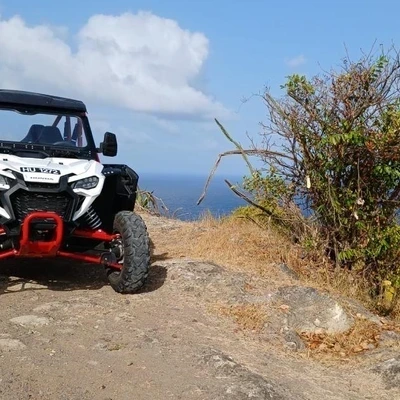 Drive and Fly: Buggy and Zip line Adventure in St. Lucia with Transportation