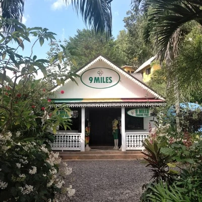 Bob Marley Tour at Nine Miles and Dunn’s River Falls with Transportation 