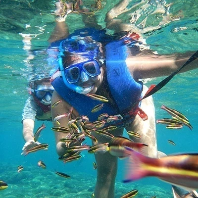Speedy Snorkel Experience in Huatulco with Transportation