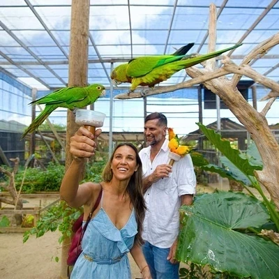 Family Fun at Parrot Ville