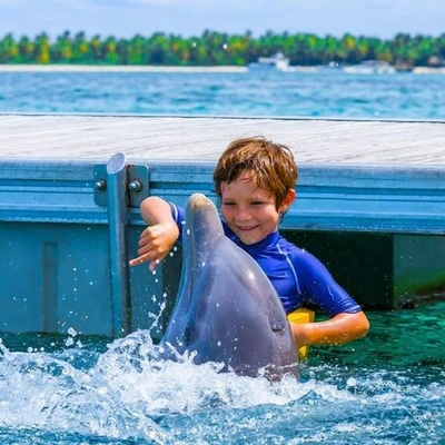 Dolphin Island Experience: Dolphin Interaction - with Transportation