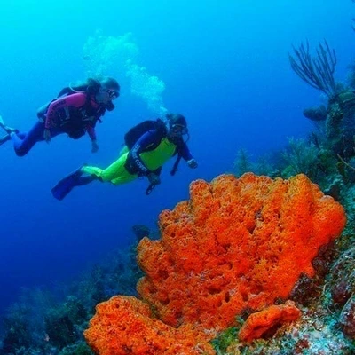 Stuart Cove's Open Water Certification with Transportation