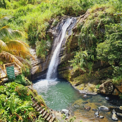 Spice Isle Unveiled - Grenada Island Tour with Transportation