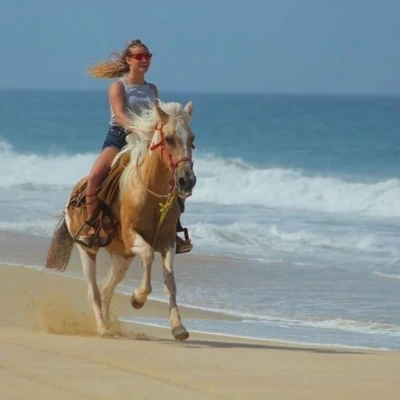 Horseback Riding Experience with Transportation
