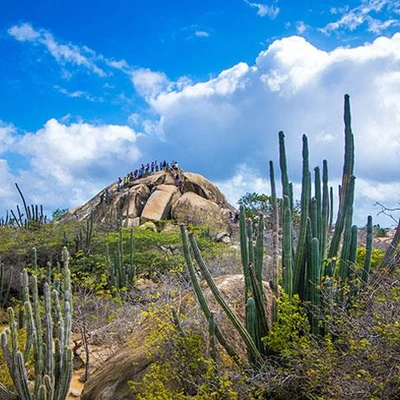 Explore Aruba - Private Tour with Transportation