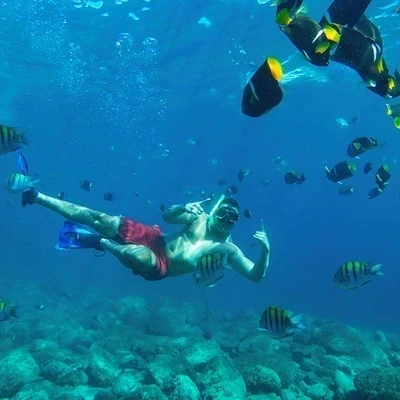 Uncover Las Caletas: Puerto Vallarta’s Natural Paradise with Lunch Included 