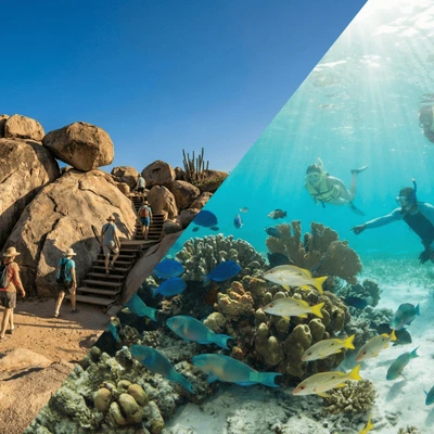 Discover Aruba: Aloe Museum, Casibari and Snorkeling with Transportation