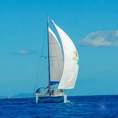Tropical Catamaran Beach and Snorkeling