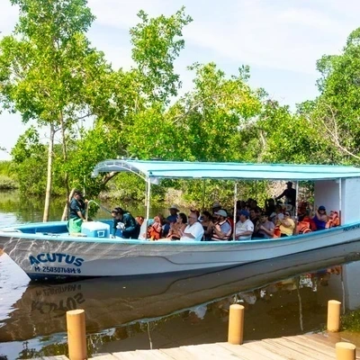 Exclusive Jungle Adventure in Mazatlán: Sea, Mangroves and Hidden Beaches