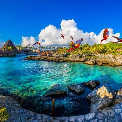 Xcaret Plus Tour: Eco-Park with Buffet and Transportation